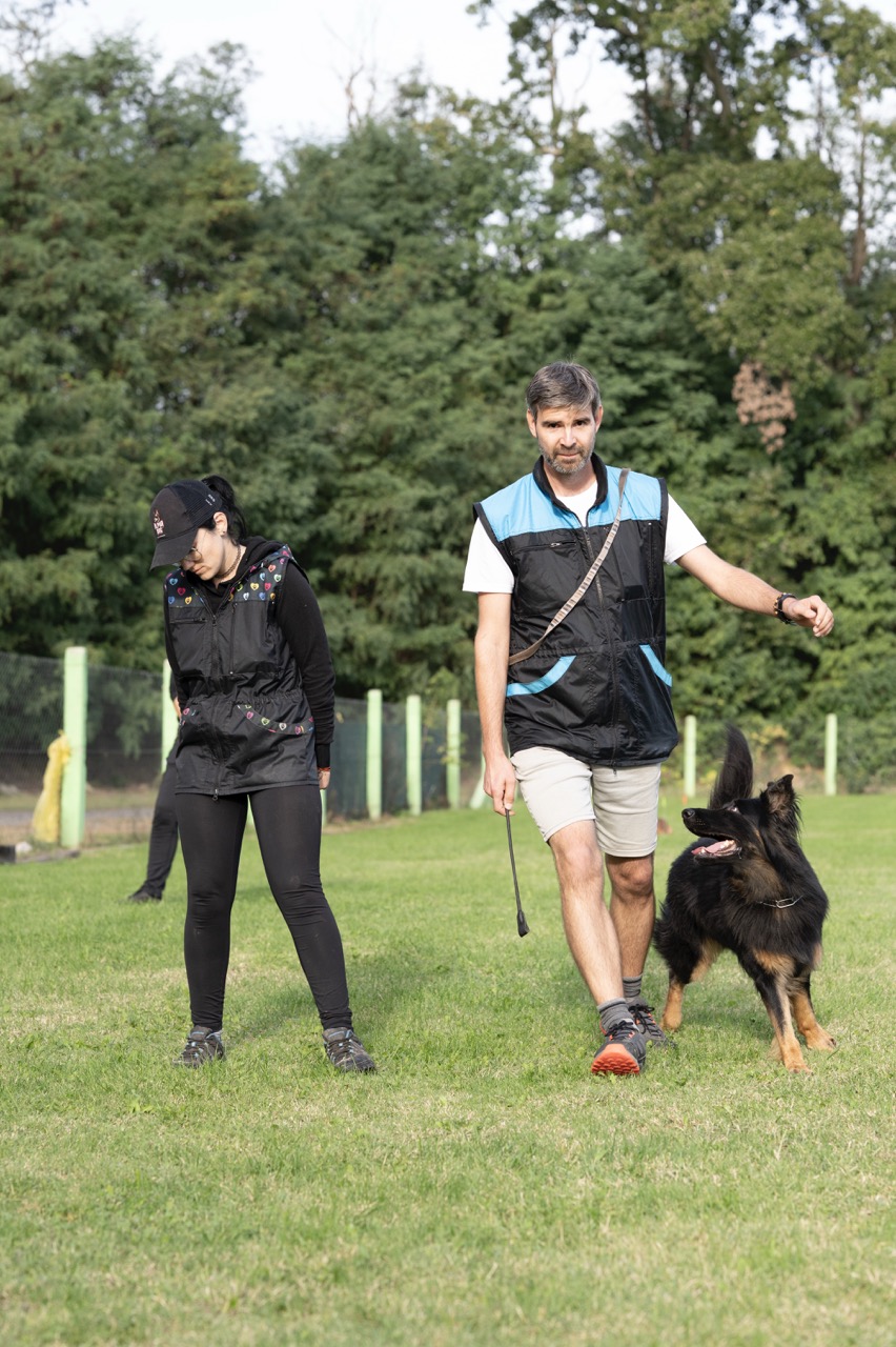Photo - 12