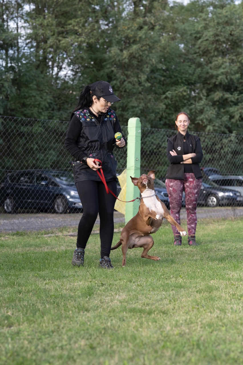 Photo - 16