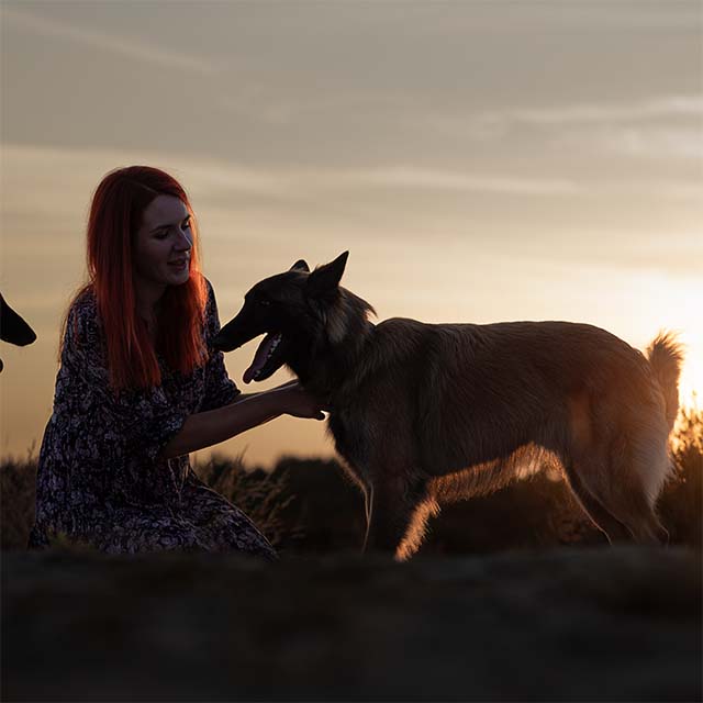 Man and dog